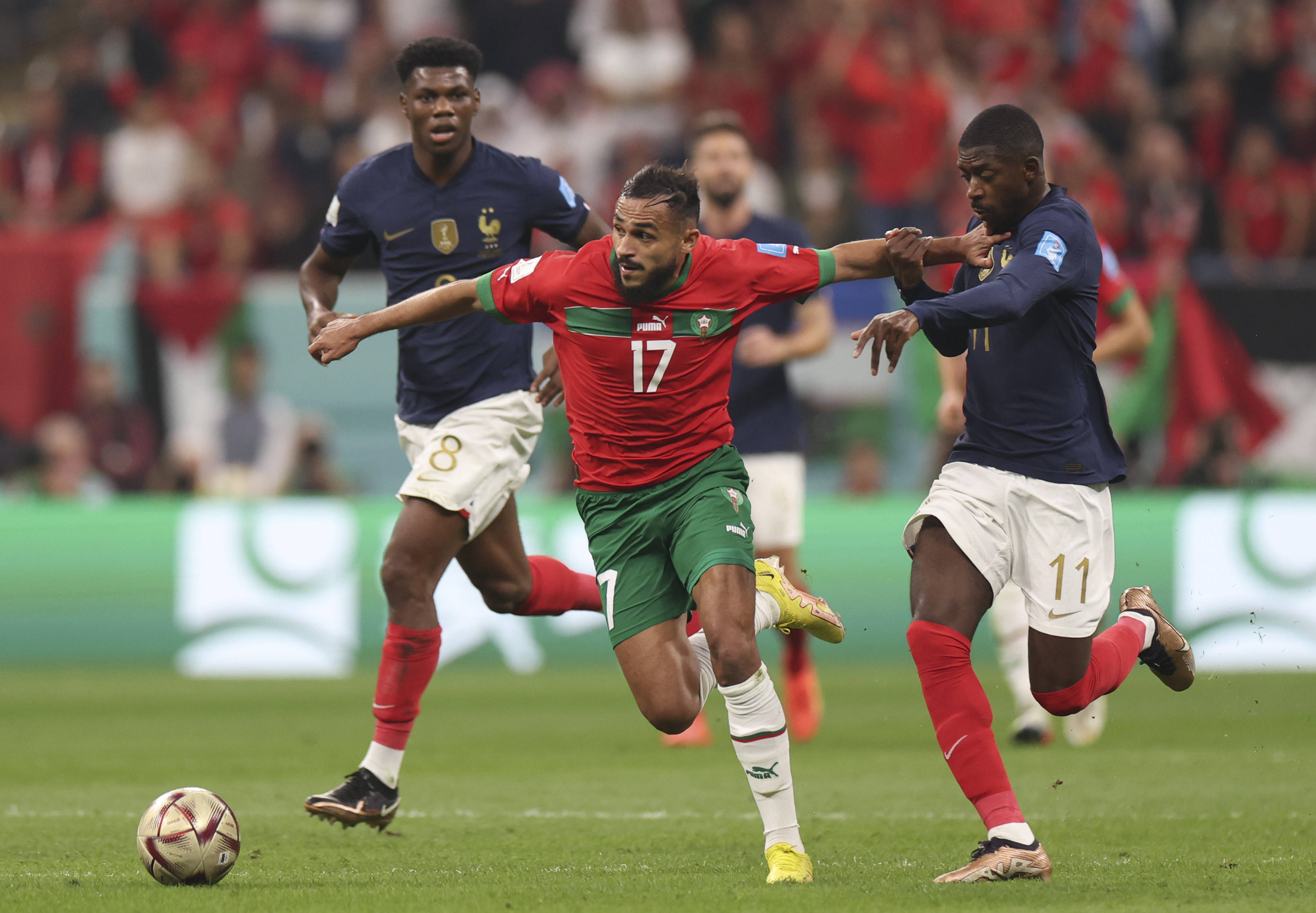 会的过程中 会的过程中